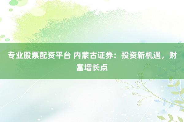 专业股票配资平台 内蒙古证券：投资新机遇，财富增长点