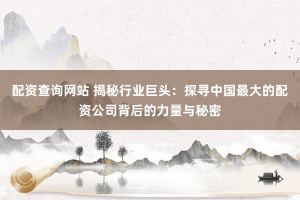 配资查询网站 揭秘行业巨头:探寻中国最大的配资公司背后的力量与秘密