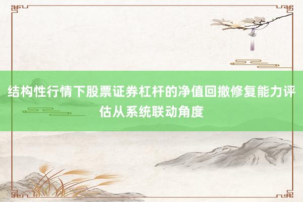 结构性行情下股票证券杠杆的净值回撤修复能力评估从系统联动角度