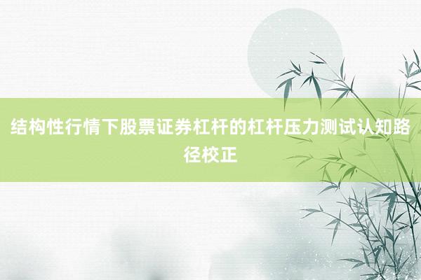 结构性行情下股票证券杠杆的杠杆压力测试认知路径校正