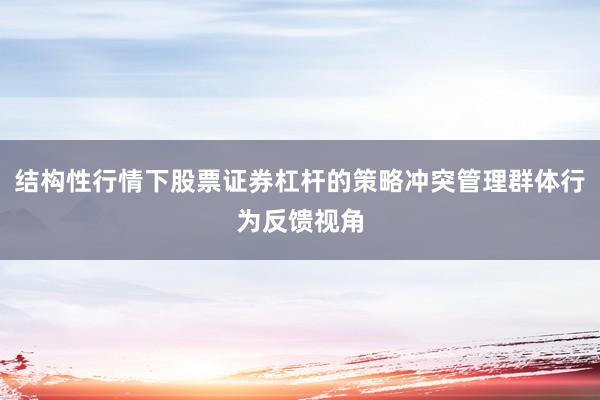 结构性行情下股票证券杠杆的策略冲突管理群体行为反馈视角