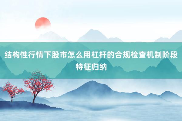 结构性行情下股市怎么用杠杆的合规检查机制阶段特征归纳