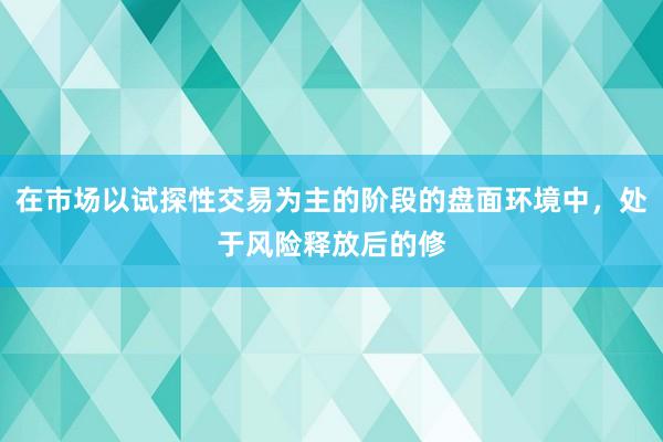 在市场以试探性交易为主的阶段的盘面环境中，处于风险释放后的修