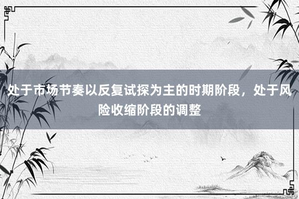 处于市场节奏以反复试探为主的时期阶段，处于风险收缩阶段的调整