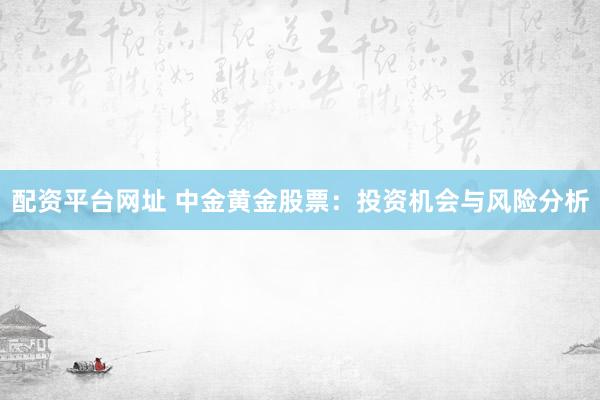 配资平台网址 中金黄金股票：投资机会与风险分析