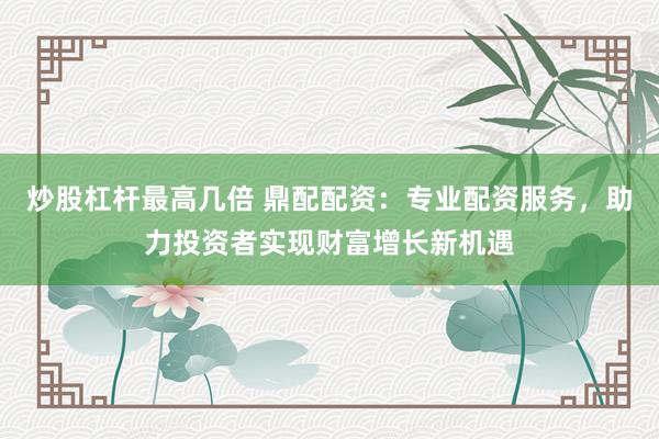 炒股杠杆最高几倍 鼎配配资：专业配资服务，助力投资者实现财富增长新机遇